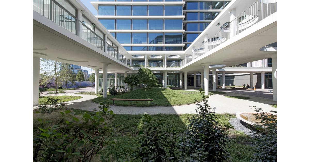 Ato Ramen zaprasza na gorącą miskę do AFI Office House