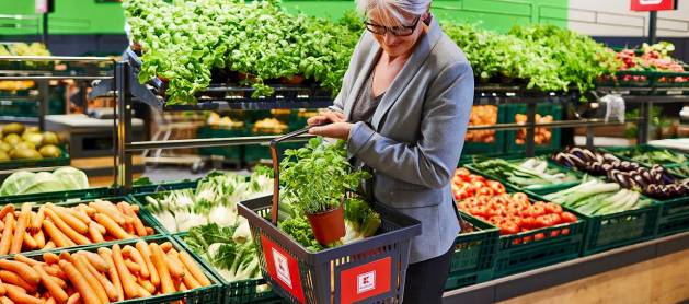 Kapelanka wzmacnia ofertę – Echo wynajęło ponad 6,5 tys. mkw. sieci Kaufland w Krakowie 