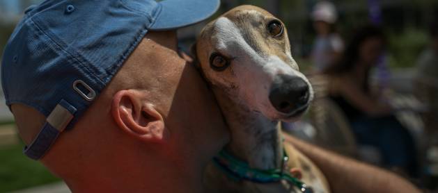 Fuzja poleca się na weekend! Sobota na cztery łapy oraz India Day 