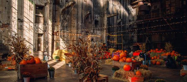 Jesienne atrakcje przy ul. Tymienieckiego w Łodzi